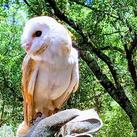 Hébergement de vacances - Grill Terrace *