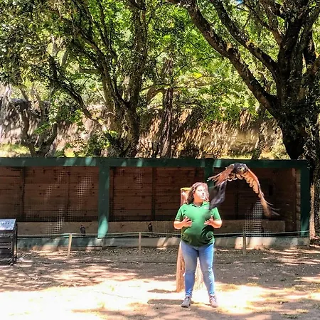 Vakantiehuis - Grill Terrace