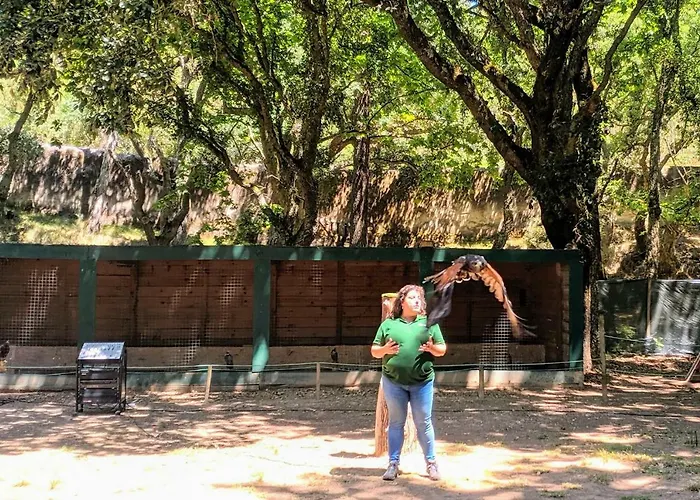 Vakantiehuis - Grill Terrace