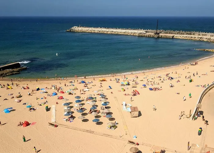 - Grill Terrace Mafra